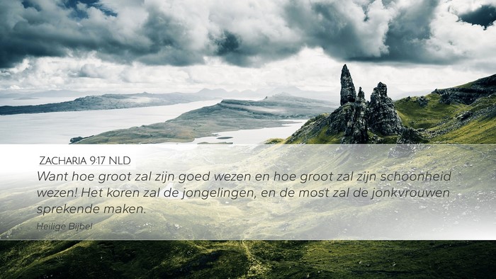 Zacharia 9:17 NLD Bible Verse Image