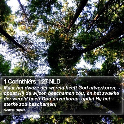 1 Corinthiërs 1:27 NLD Bible Verse Image