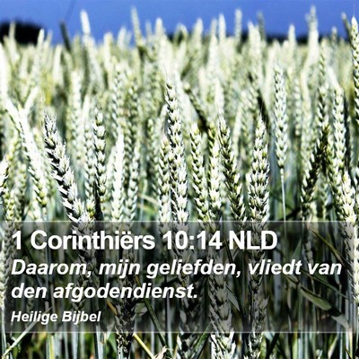 1 Corinthiërs 10:14 NLD Bible Verse Image