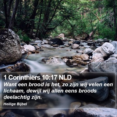 1 Corinthiërs 10:17 NLD Bible Verse Image