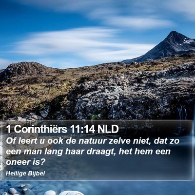 1 Corinthiërs 11:14 NLD Bible Verse Image