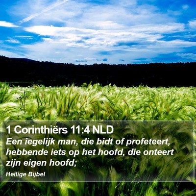 1 Corinthiërs 11:4 NLD Bible Verse Image
