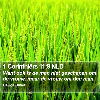 1 Corinthiërs 11:9 NLD Bible Verse Image