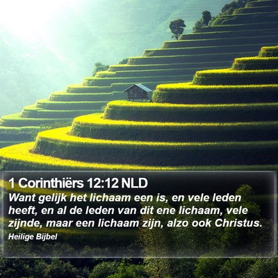 1 Corinthiërs 12:12 NLD Bible Verse Image