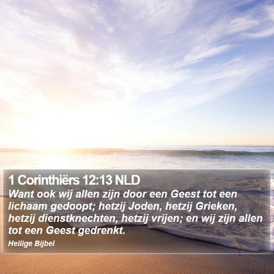 1 Corinthiërs 12:13 NLD Bible Verse Image