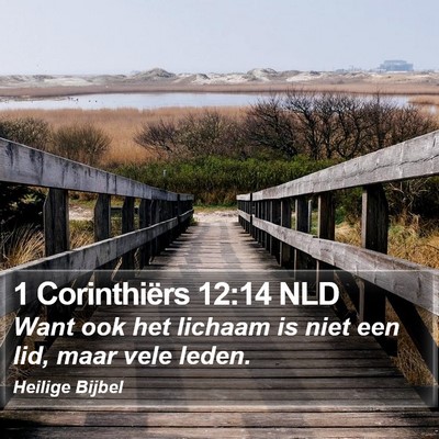 1 Corinthiërs 12:14 NLD Bible Verse Image