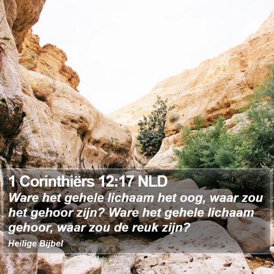 1 Corinthiërs 12:17 NLD Bible Verse Image