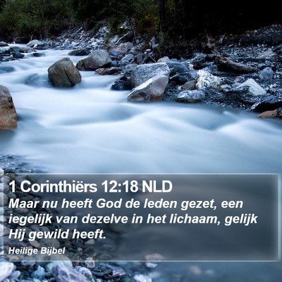 1 Corinthiërs 12:18 NLD Bible Verse Image
