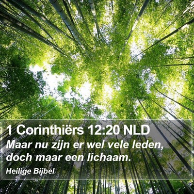 1 Corinthiërs 12:20 NLD Bible Verse Image