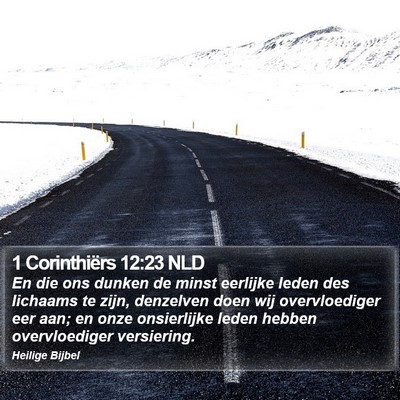 1 Corinthiërs 12:23 NLD Bible Verse Image