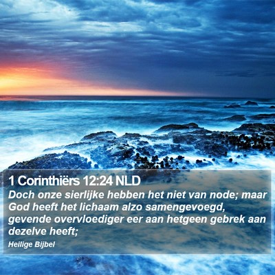 1 Corinthiërs 12:24 NLD Bible Verse Image