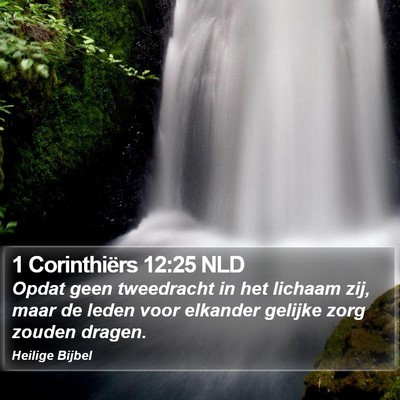1 Corinthiërs 12:25 NLD Bible Verse Image