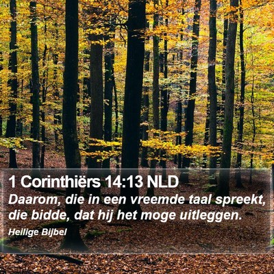 1 Corinthiërs 14:13 NLD Bible Verse Image