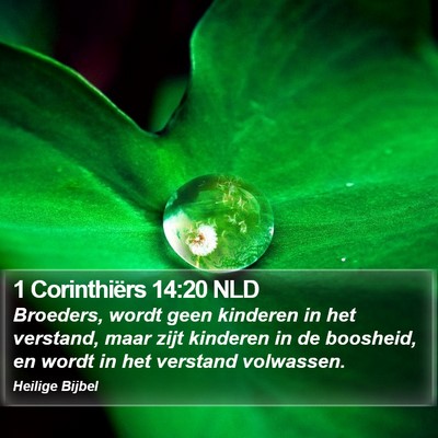 1 Corinthiërs 14:20 NLD Bible Verse Image