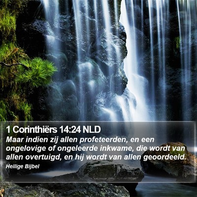 1 Corinthiërs 14:24 NLD Bible Verse Image