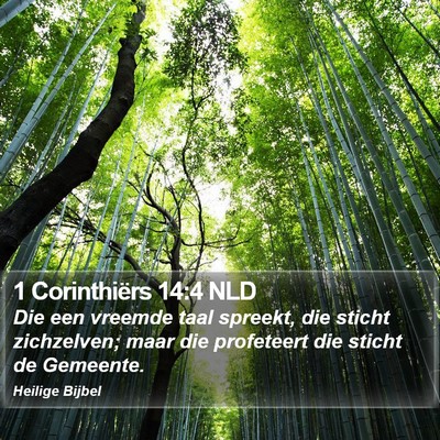 1 Corinthiërs 14:4 NLD Bible Verse Image