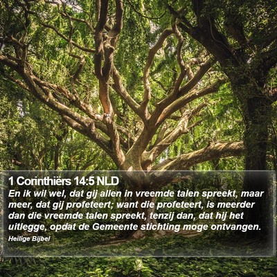 1 Corinthiërs 14:5 NLD Bible Verse Image
