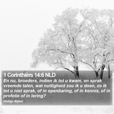 1 Corinthiërs 14:6 NLD Bible Verse Image