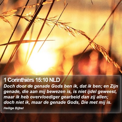 1 Corinthiërs 15:10 NLD Bible Verse Image
