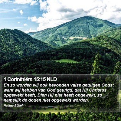 1 Corinthiërs 15:15 NLD Bible Verse Image