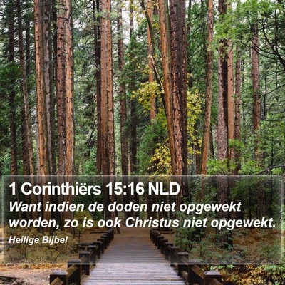 1 Corinthiërs 15:16 NLD Bible Verse Image