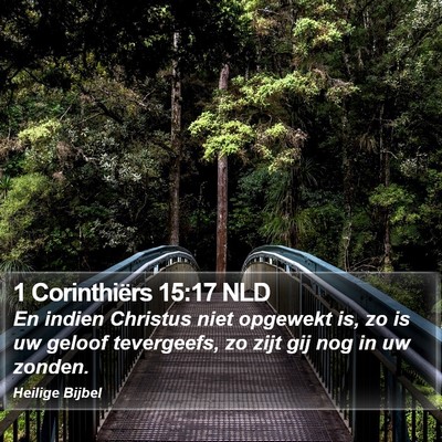 1 Corinthiërs 15:17 NLD Bible Verse Image