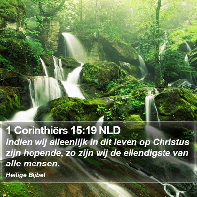 1 Corinthiërs 15:19 NLD Bible Verse Image