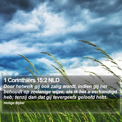 1 Corinthiërs 15:2 NLD Bible Verse Image