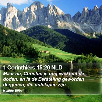 1 Corinthiërs 15:20 NLD Bible Verse Image