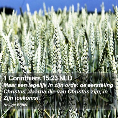 1 Corinthiërs 15:23 NLD Bible Verse Image