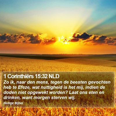 1 Corinthiërs 15:32 NLD Bible Verse Image