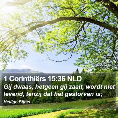 1 Corinthiërs 15:36 NLD Bible Verse Image