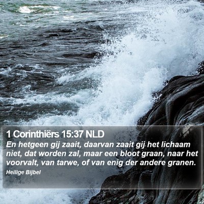 1 Corinthiërs 15:37 NLD Bible Verse Image