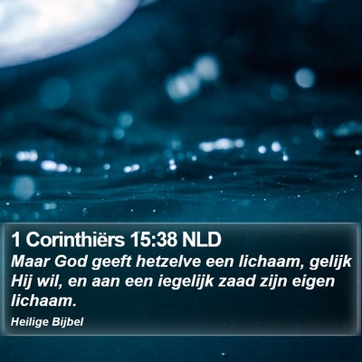 1 Corinthiërs 15:38 NLD Bible Verse Image