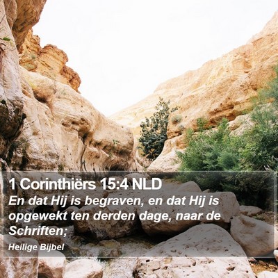 1 Corinthiërs 15:4 NLD Bible Verse Image