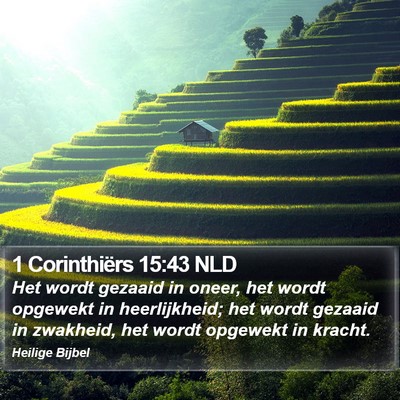 1 Corinthiërs 15:43 NLD Bible Verse Image