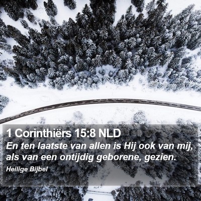 1 Corinthiërs 15:8 NLD Bible Verse Image