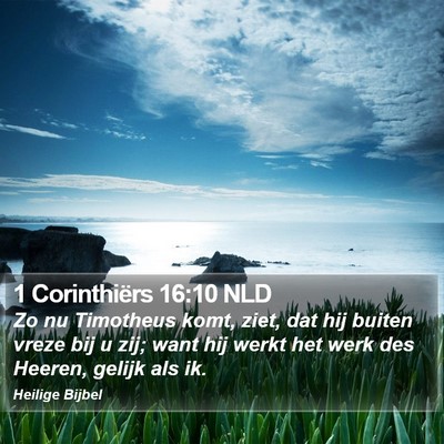 1 Corinthiërs 16:10 NLD Bible Verse Image