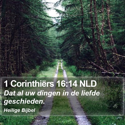 1 Corinthiërs 16:14 NLD Bible Verse Image