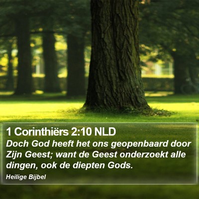 1 Corinthiërs 2:10 NLD Bible Verse Image