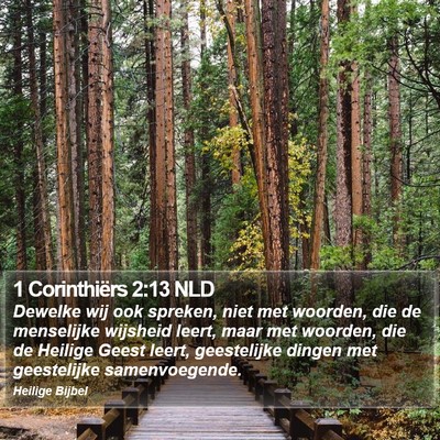 1 Corinthiërs 2:13 NLD Bible Verse Image