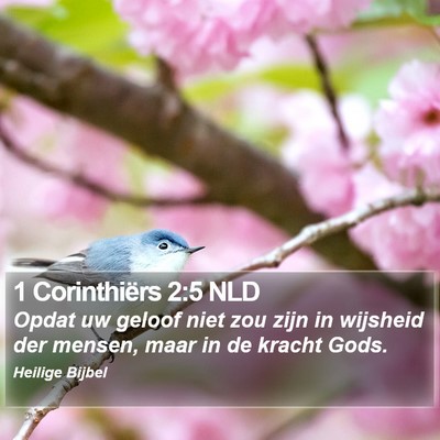 1 Corinthiërs 2:5 NLD Bible Verse Image