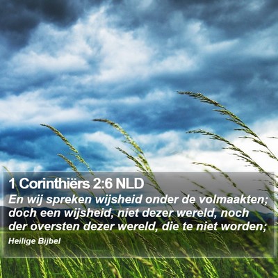 1 Corinthiërs 2:6 NLD Bible Verse Image