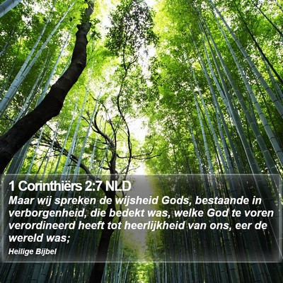 1 Corinthiërs 2:7 NLD Bible Verse Image
