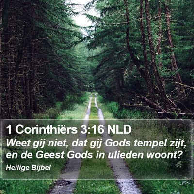 1 Corinthiërs 3:16 NLD Bible Verse Image