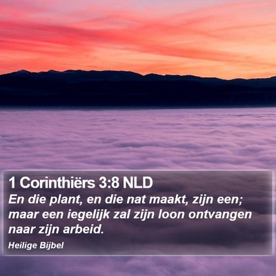 1 Corinthiërs 3:8 NLD Bible Verse Image