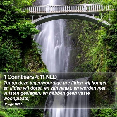 1 Corinthiërs 4:11 NLD Bible Verse Image