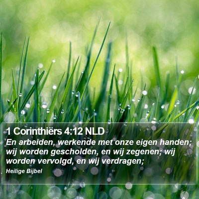 1 Corinthiërs 4:12 NLD Bible Verse Image
