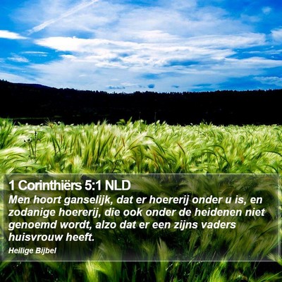 1 Corinthiërs 5:1 NLD Bible Verse Image