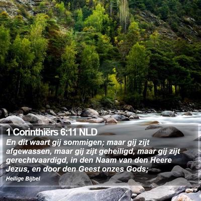 1 Corinthiërs 6:11 NLD Bible Verse Image
